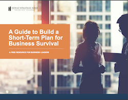 Hewat-Strategic-Short-Term-Plan-Business-Survival-cover