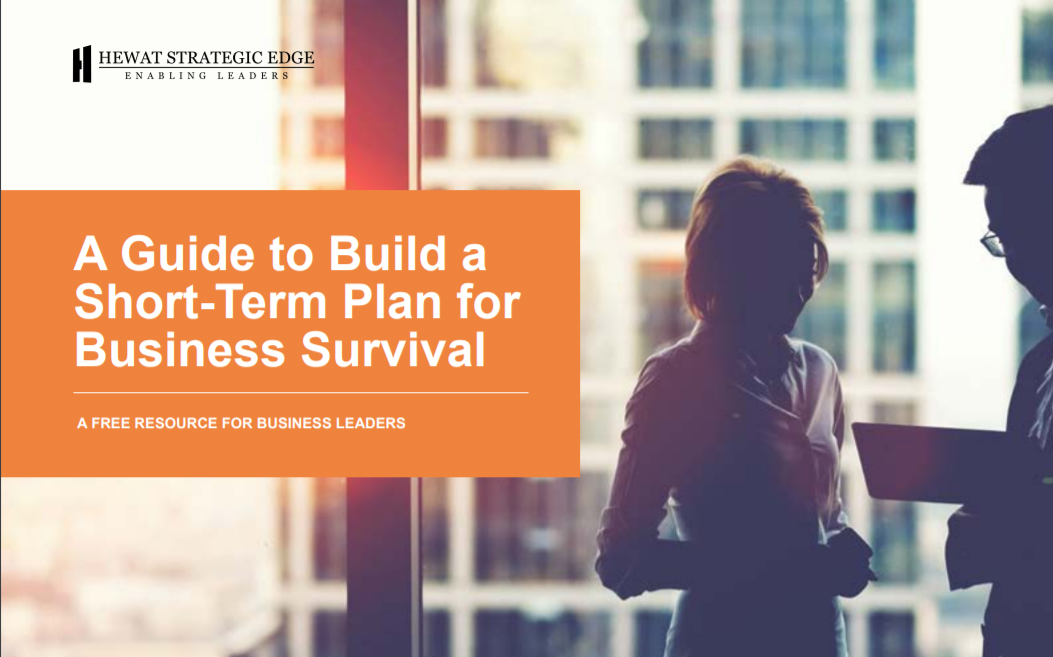 Seven Questions to Build a Short-Term Plan for Business Survival